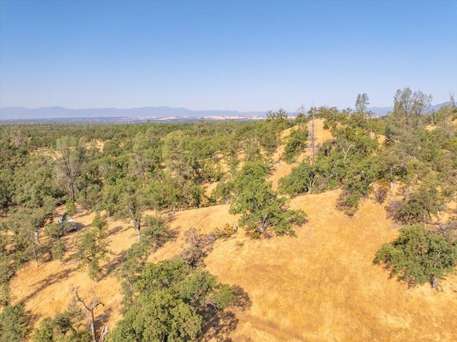 0000 Two Feathers Rd, Cottonwood, CA 96022 - photo 41