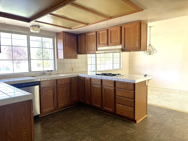19199 Alee Pl, Cottonwood, CA 96022 - photo 11