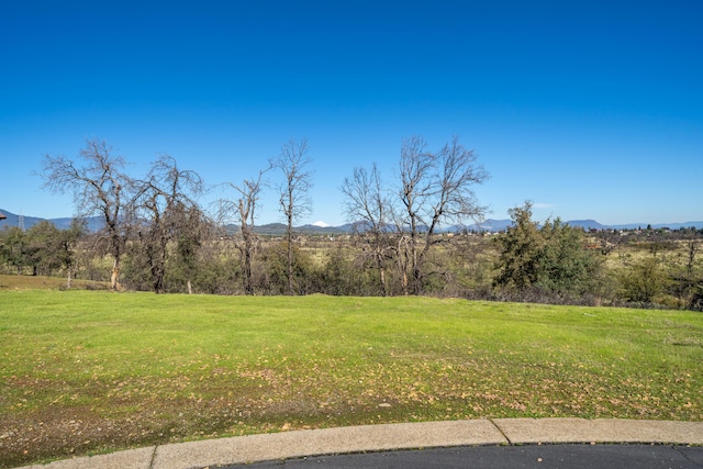 815 Santa Cruz Dr, Redding, CA 96003 - photo 7