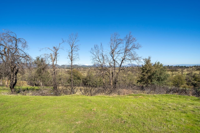 815 Santa Cruz Dr, Redding, CA 96003 - photo 8