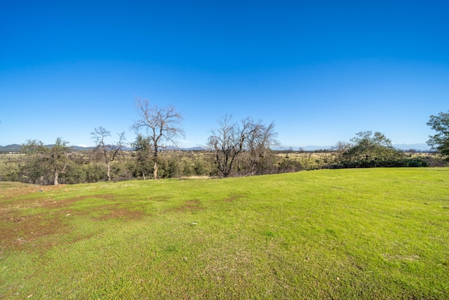 815 Santa Cruz Dr, Redding, CA 96003 - photo 9