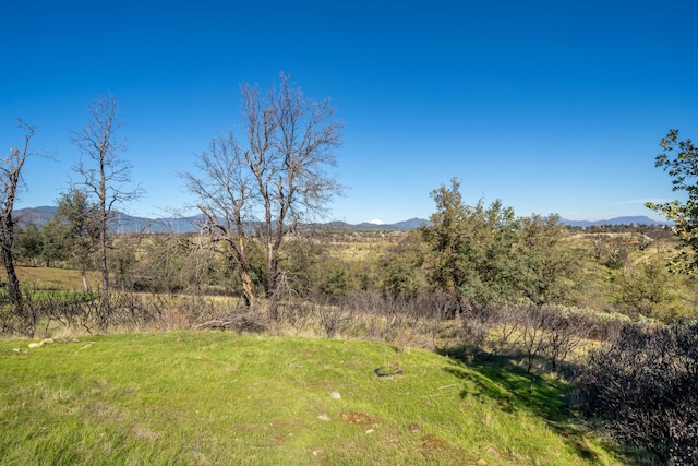 815 Santa Cruz Dr, Redding, CA 96003 - photo 11