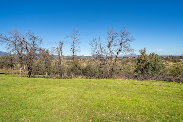 815 Santa Cruz Dr, Redding, CA 96003 - photo 12