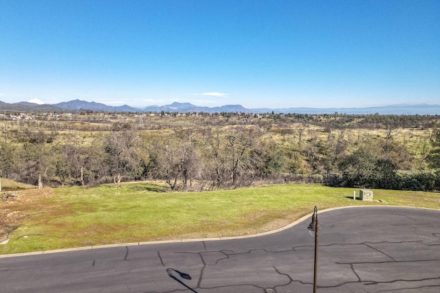 815 Santa Cruz Dr, Redding, CA 96003 - photo 21