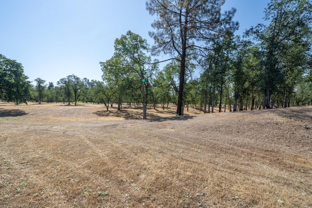 13323 Alicia Pkwy, Redding, CA 96003 - photo 4