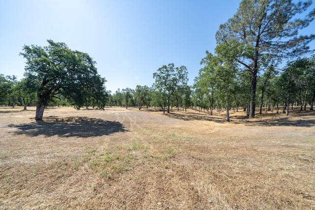 13323 Alicia Pkwy, Redding, CA 96003 - photo 5
