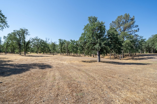 13323 Alicia Pkwy, Redding, CA 96003 - photo 6