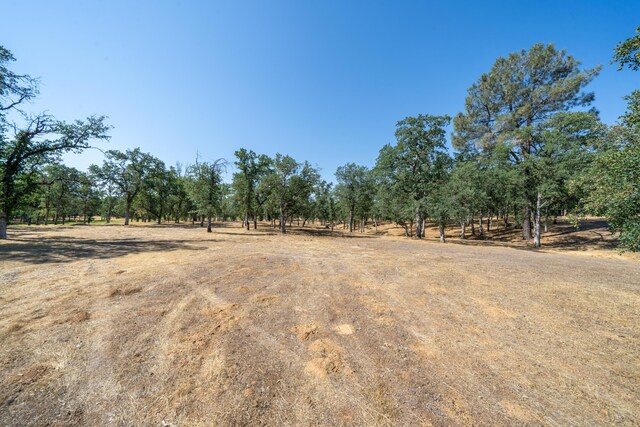 13323 Alicia Pkwy, Redding, CA 96003 - photo 7