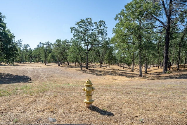 13323 Alicia Pkwy, Redding, CA 96003 - photo 8