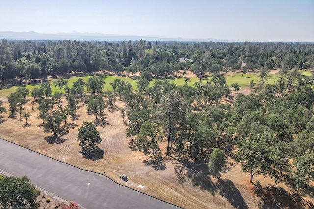 13323 Alicia Pkwy, Redding, CA 96003 - photo 9