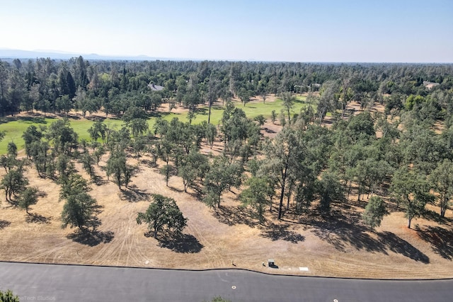 13323 Alicia Pkwy, Redding, CA 96003 - photo 10
