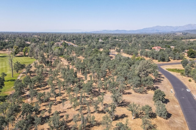 13323 Alicia Pkwy, Redding, CA 96003 - photo 12