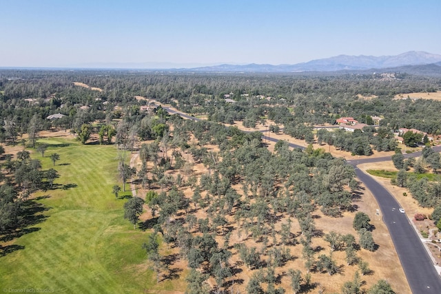 13323 Alicia Pkwy, Redding, CA 96003 - photo 13