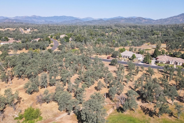 13323 Alicia Pkwy, Redding, CA 96003 - photo 15