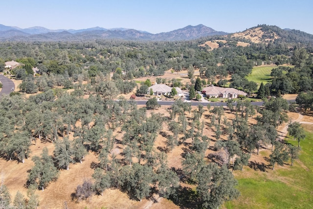 13323 Alicia Pkwy, Redding, CA 96003 - photo 16