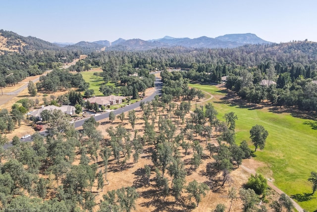 13323 Alicia Pkwy, Redding, CA 96003 - photo 17