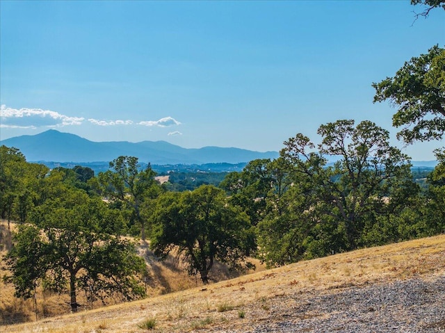 15775 Red Bank Rd, Red Bluff, CA 96080 - photo 91