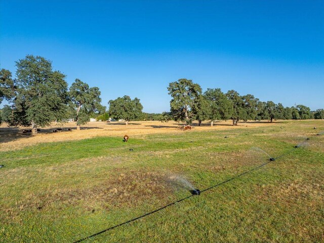 15775 Red Bank Rd, Red Bluff, CA 96080 - photo 107