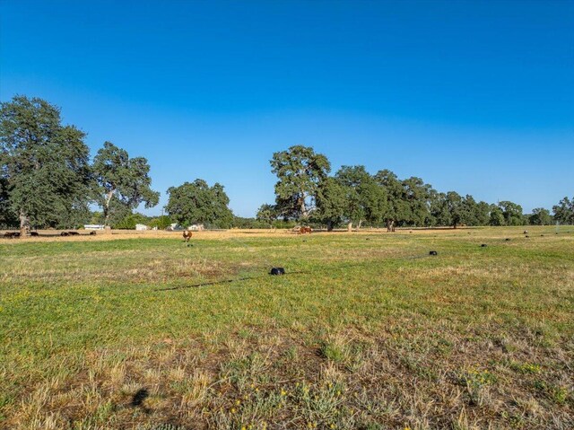 15775 Red Bank Rd, Red Bluff, CA 96080 - photo 108