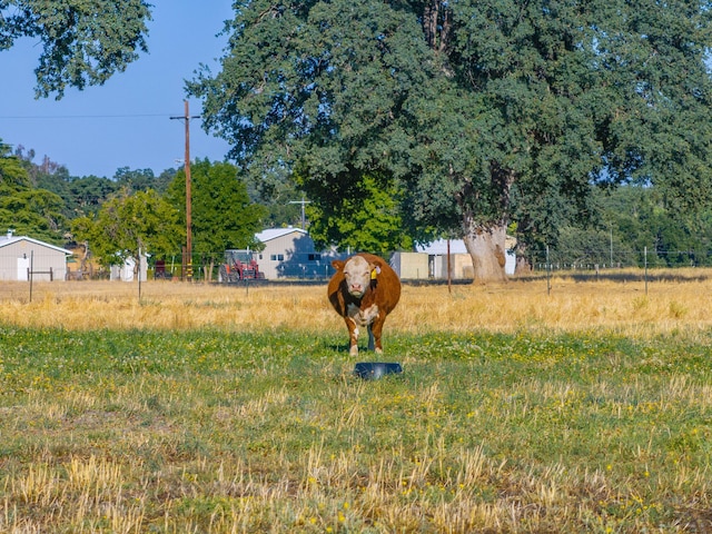 15775 Red Bank Rd, Red Bluff, CA 96080 - photo 109