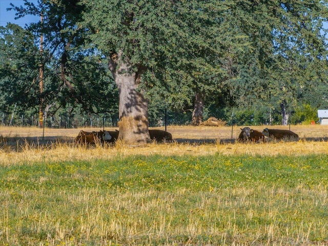 15775 Red Bank Rd, Red Bluff, CA 96080 - photo 110