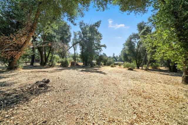 18850 Turnell Rd, Cottonwood, CA 96022 - photo 24