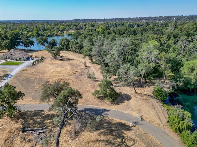 19301 Clover Rd, Redding, CA 96001 - photo 6