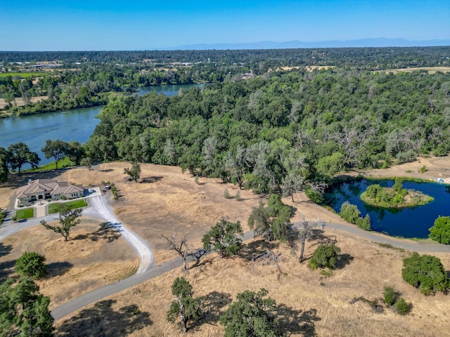 19301 Clover Rd, Redding, CA 96001 - photo 8