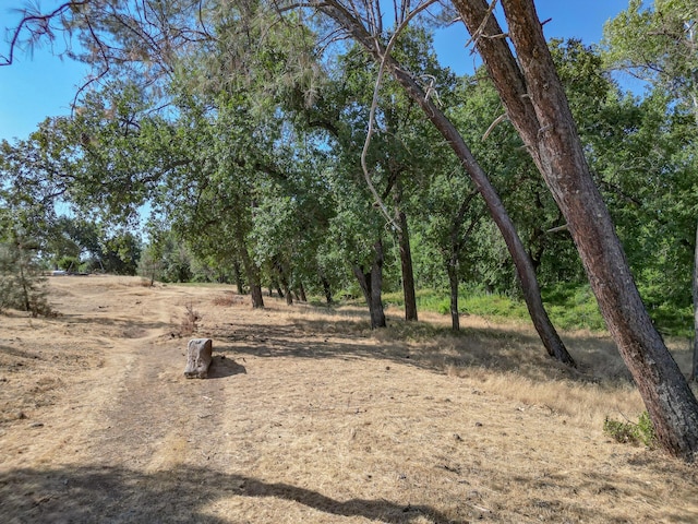 19301 Clover Rd, Redding, CA 96001 - photo 12
