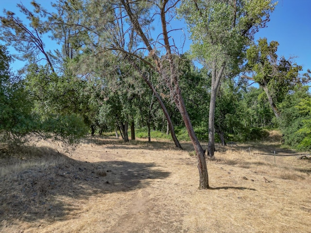 19301 Clover Rd, Redding, CA 96001 - photo 13