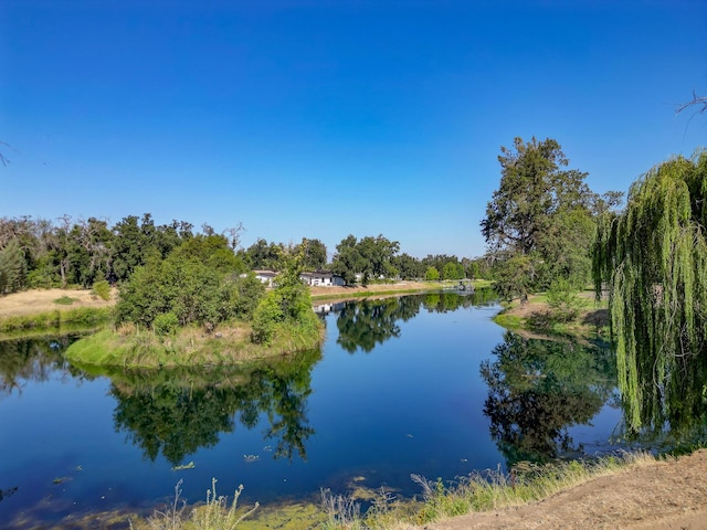 19301 Clover Rd, Redding, CA 96001 - photo 19