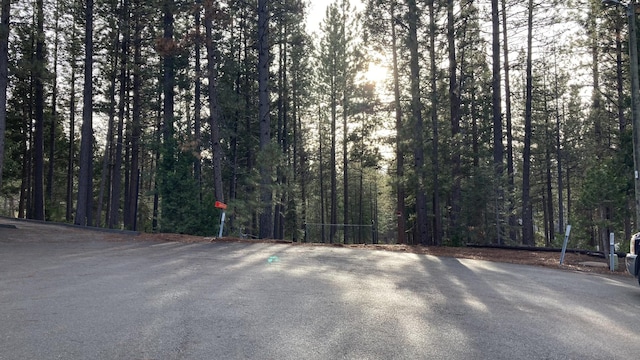 20022 Hudson St, Burney, CA 96013 - photo 4