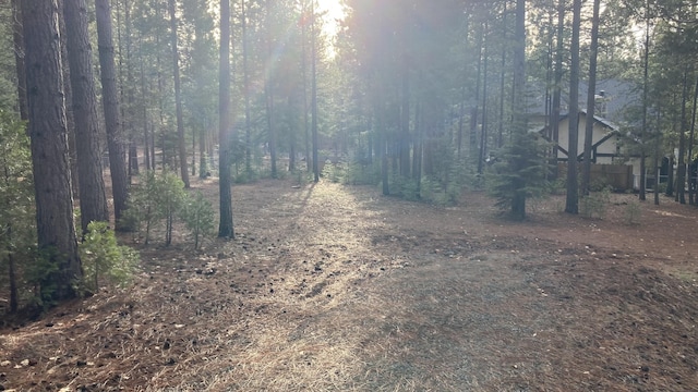 20022 Hudson St, Burney, CA 96013 - photo 6