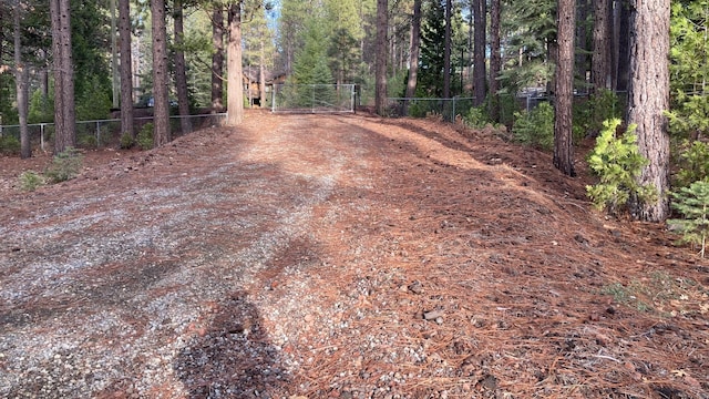 20022 Hudson St, Burney, CA 96013 - photo 7