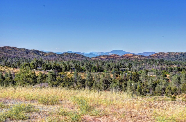 15333 Mountain Shadows Dr, Redding, CA 96001 - photo 1