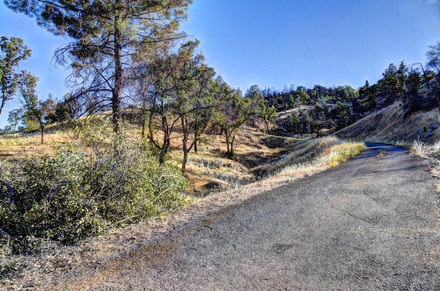15333 Mountain Shadows Dr, Redding, CA 96001 - photo 4