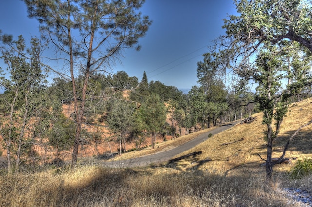 15333 Mountain Shadows Dr, Redding, CA 96001 - photo 9