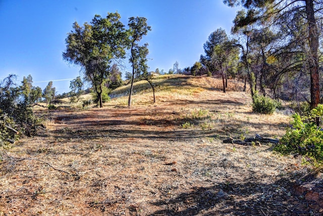 15333 Mountain Shadows Dr, Redding, CA 96001 - photo 6