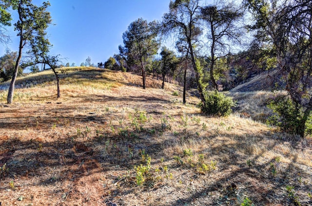 15333 Mountain Shadows Dr, Redding, CA 96001 - photo 10