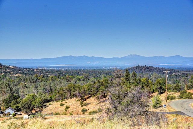 15333 Mountain Shadows Dr, Redding, CA 96001 - photo 12