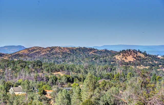 15333 Mountain Shadows Dr, Redding, CA 96001 - photo 13
