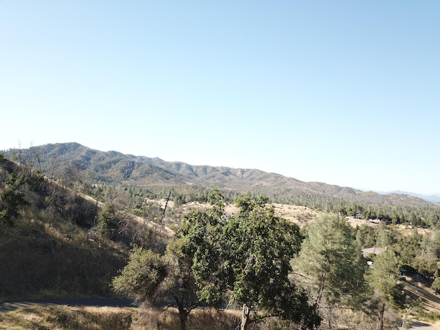 15333 Mountain Shadows Dr, Redding, CA 96001 - photo 17
