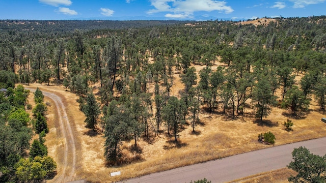 LOT9 Canto De Las Lupine Dr, Redding, CA 96001 - photo 5