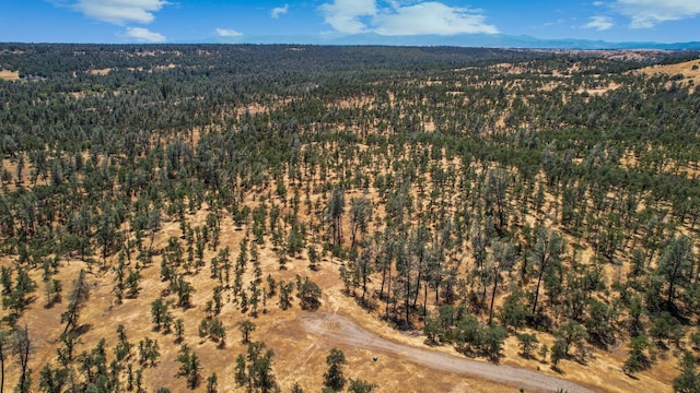 LOT9 Canto De Las Lupine Dr, Redding, CA 96001 - photo 8
