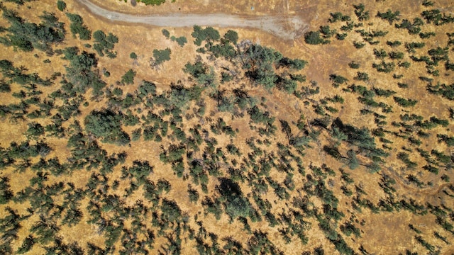 LOT9 Canto De Las Lupine Dr, Redding, CA 96001 - photo 9