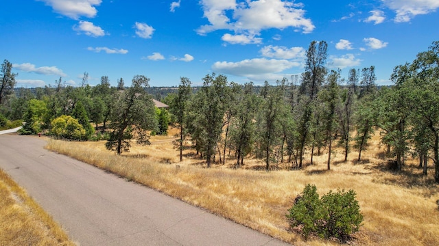 LOT9 Canto De Las Lupine Dr, Redding, CA 96001 - photo 16