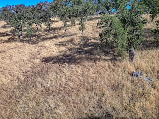 16300 Ranchero Dr, Red Bluff, CA 96080 - photo 6