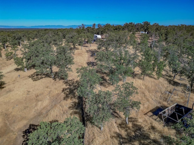 16300 Ranchero Dr, Red Bluff, CA 96080 - photo 9