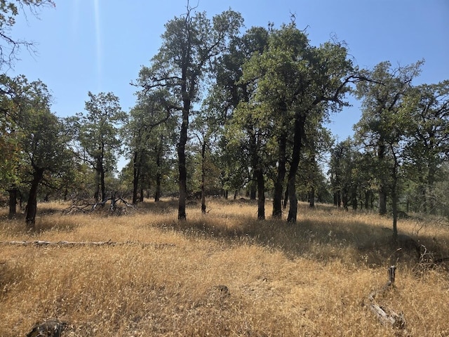 Mccandless Gulch Rd, Bella Vista, CA 96008 - photo 1