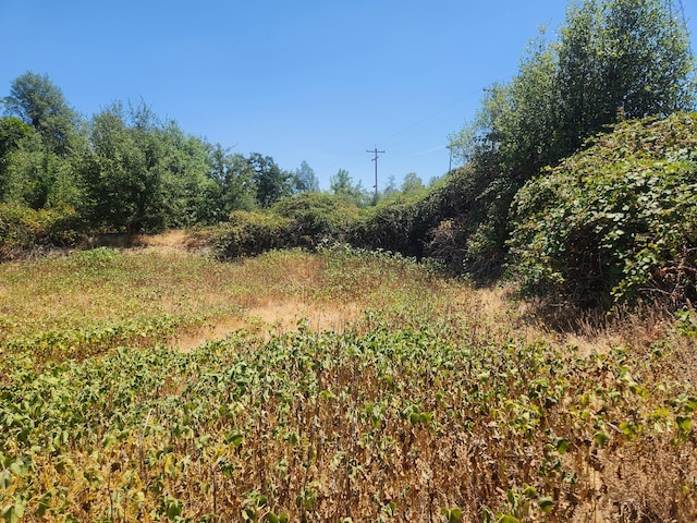 Thompson Ln, Redding, CA 96001 - photo 3